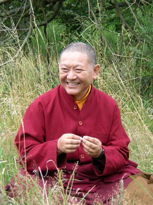 ringu tulku09