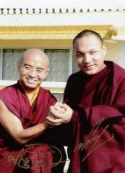 mingyur rinpoche